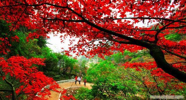 1452153891980522.jpg 回歸自然.jpg