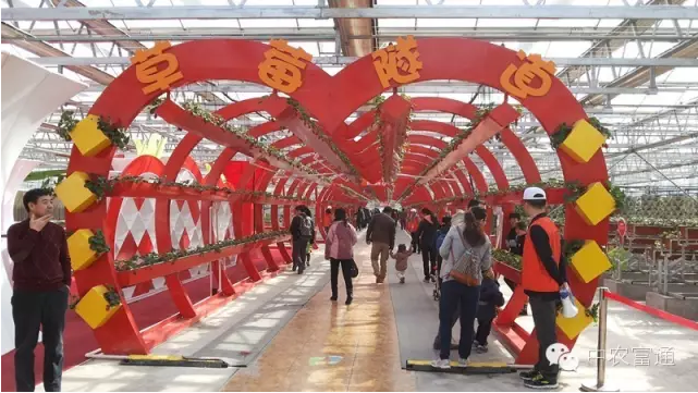 1458822420121663.png blob.png