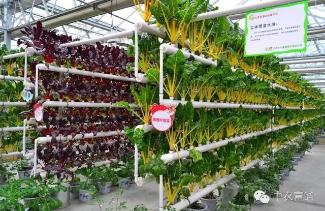 1458822233320758.png blob.png