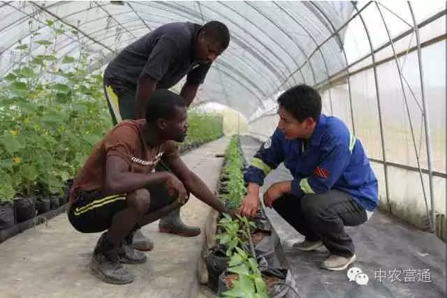 1464751323582306.png blob.png