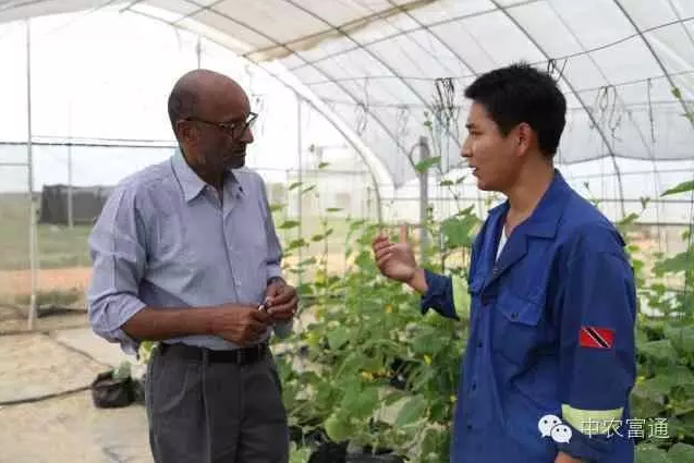 1464751341107975.png blob.png