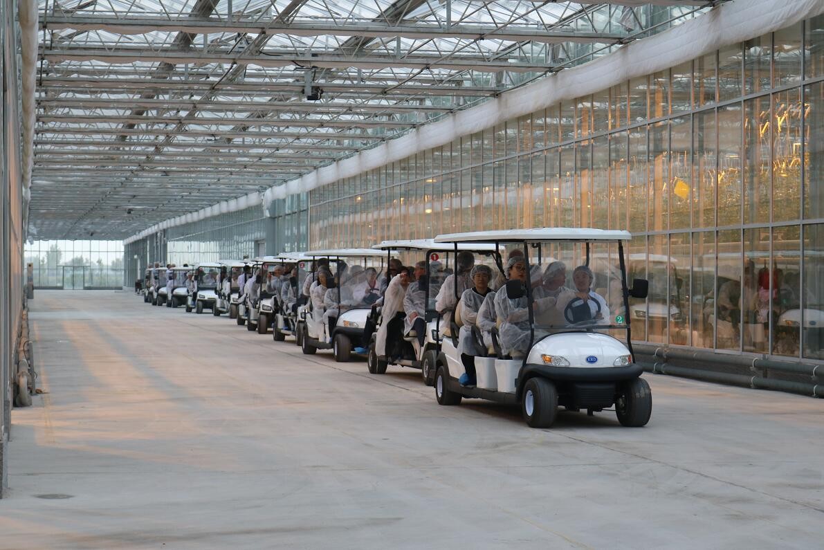 【邀請(qǐng)函】未來已來 中荷都市供給和綠色發(fā)展趨勢(shì)探秘(圖14)