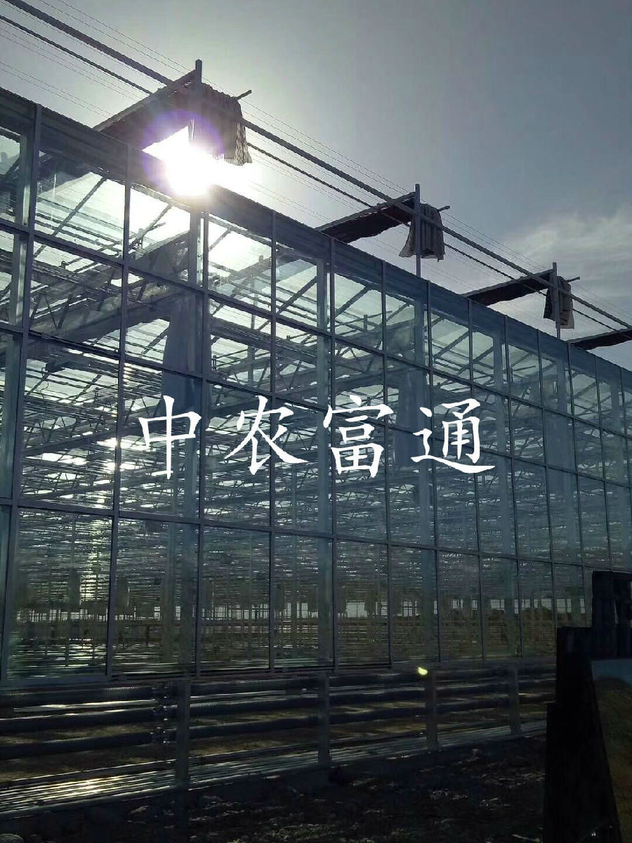 【邀請(qǐng)函】未來已來 中荷都市供給和綠色發(fā)展趨勢(shì)探秘(圖13)