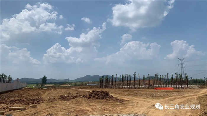 為了幫助園區(qū)的提檔升級(jí)，南京市農(nóng)業(yè)農(nóng)村局特委托中農(nóng)富通編制《南京市農(nóng)業(yè)園區(qū)發(fā)展研究報(bào)告》，以期從產(chǎn)業(yè)發(fā)展路徑、園區(qū)發(fā)展模式、保障措施等多維度為南京市農(nóng)業(yè)園區(qū)未來三年的發(fā)展做統(tǒng)籌謀劃。 8月19日，中農(nóng)(圖11)