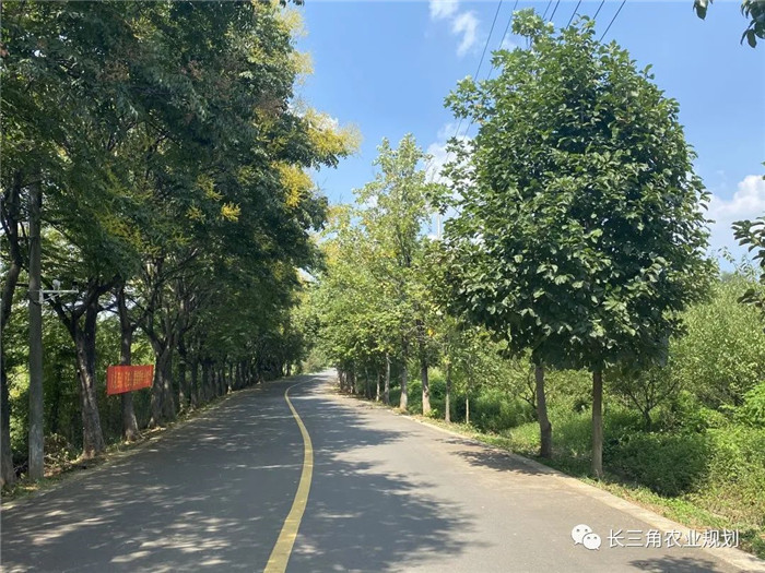 為了幫助園區(qū)的提檔升級(jí)，南京市農(nóng)業(yè)農(nóng)村局特委托中農(nóng)富通編制《南京市農(nóng)業(yè)園區(qū)發(fā)展研究報(bào)告》，以期從產(chǎn)業(yè)發(fā)展路徑、園區(qū)發(fā)展模式、保障措施等多維度為南京市農(nóng)業(yè)園區(qū)未來三年的發(fā)展做統(tǒng)籌謀劃。 8月19日，中農(nóng)(圖8)