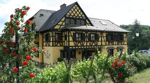 640_wx_fmt=jpeg&tp=webp&wxfrom=5&wx_lazy=1.webp (3)_副本.jpg