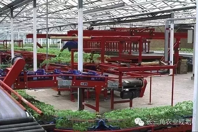 undefined 640.webp (1).jpg