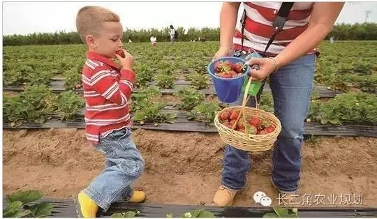 undefined 640.webp (1).jpg