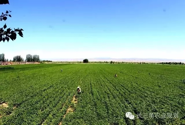 undefined 640 (1).webp (2).jpg