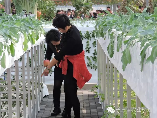 undefined 640.webp (2).jpg