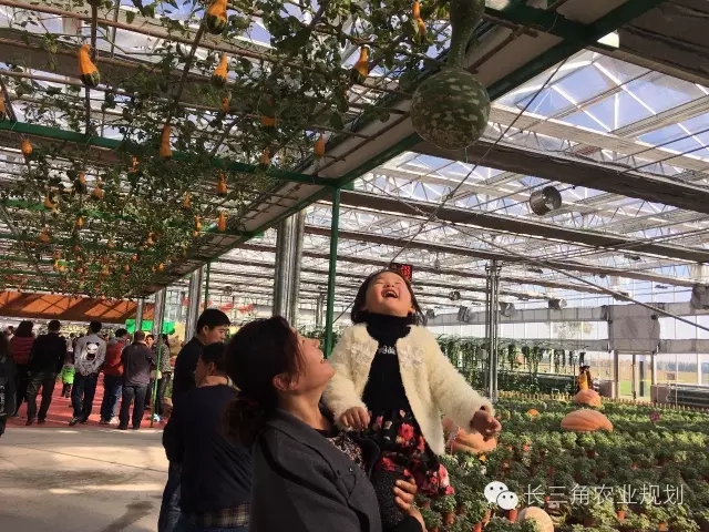 undefined 640.webp (3).jpg