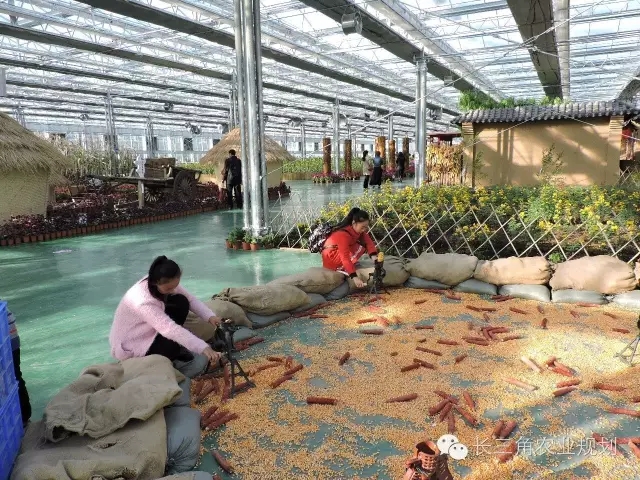 undefined 640.webp (4).jpg