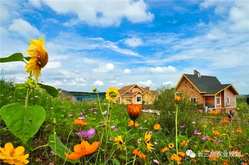 國家大力支持發(fā)展的“田園綜合體”是什么？怎么搞？(圖1)