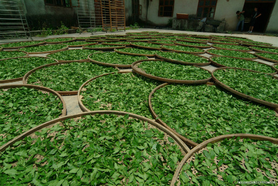 undefined 26213_153705000236_2_meitu_1.jpg