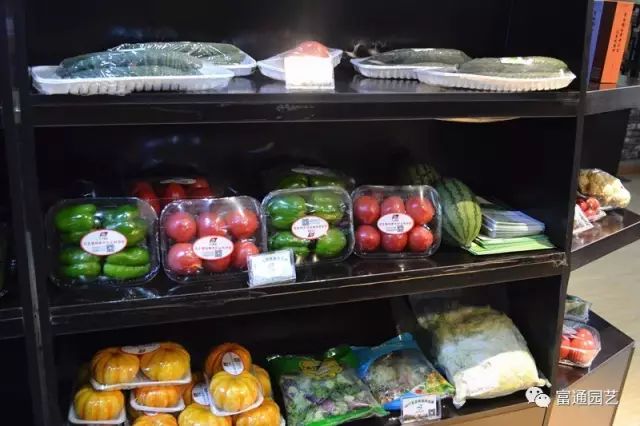 浙江鄉村旅游規劃 微信3.jpg