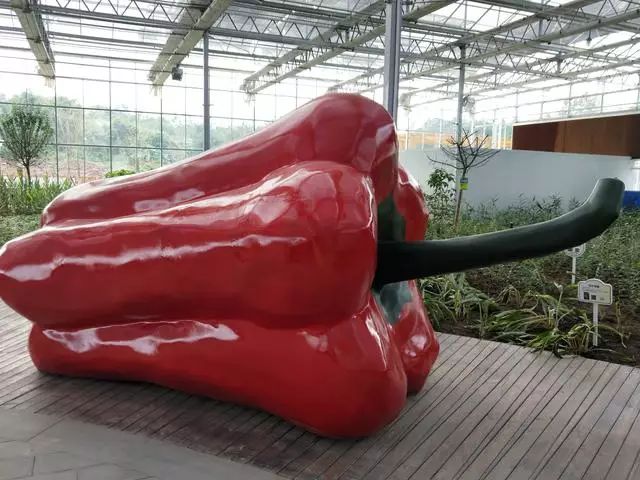 浙江鄉村旅游規劃 微信1.jpg