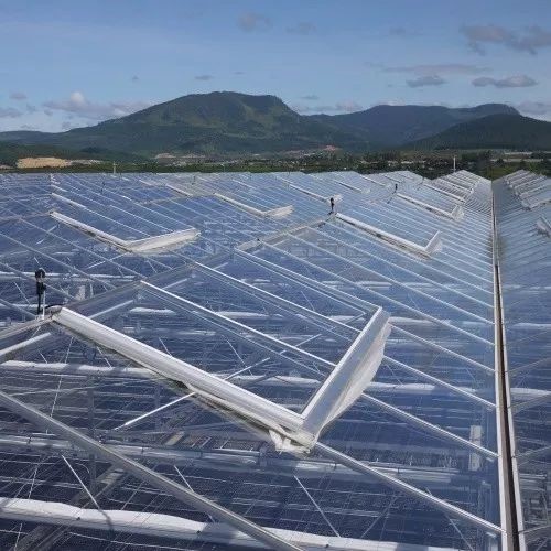 南和現(xiàn)代設(shè)施農(nóng)業(yè)產(chǎn)業(yè)集群(圖7)