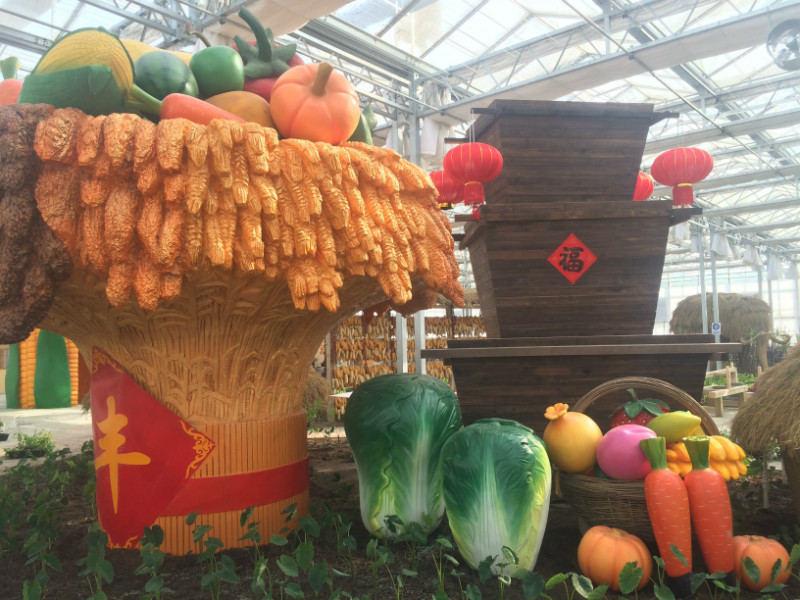 南和農業嘉年華(圖2) 1jingguanzaoxing.jpg