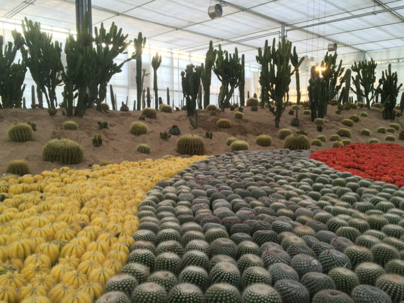 南和農業嘉年華(圖3) 03wenshijingguan.jpg