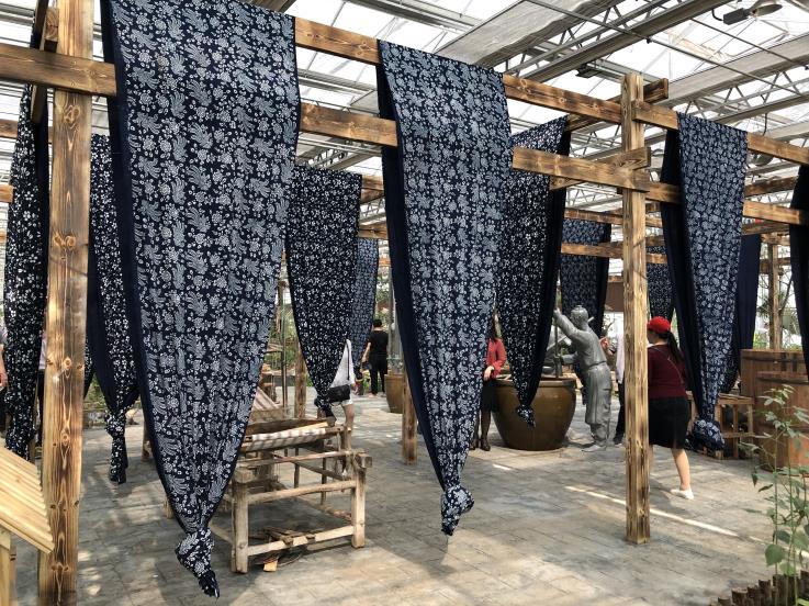 江蘇洋河農業嘉年華(圖4) 140922925463199449.jpg