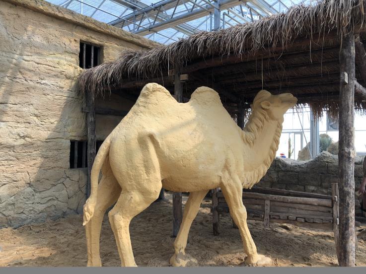 江蘇洋河農業嘉年華(圖6) 461015575008747053.jpg