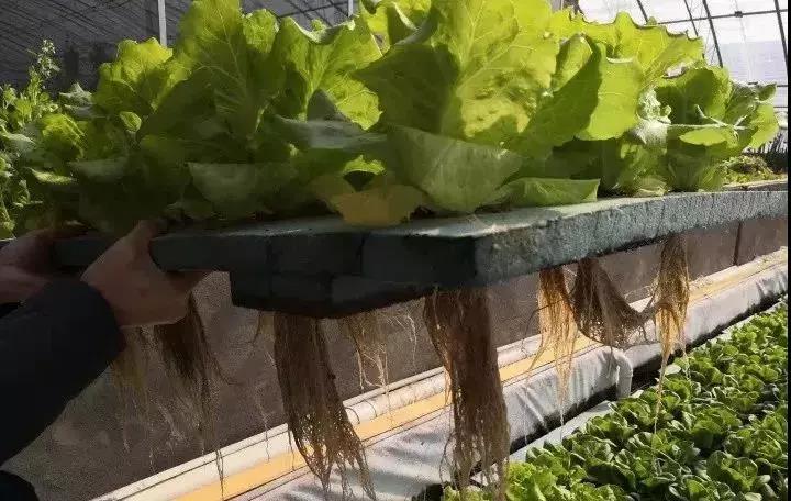 undefined 微信圖片_20181019085446.jpg