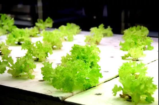 undefined 微信圖片_20181025161430.jpg