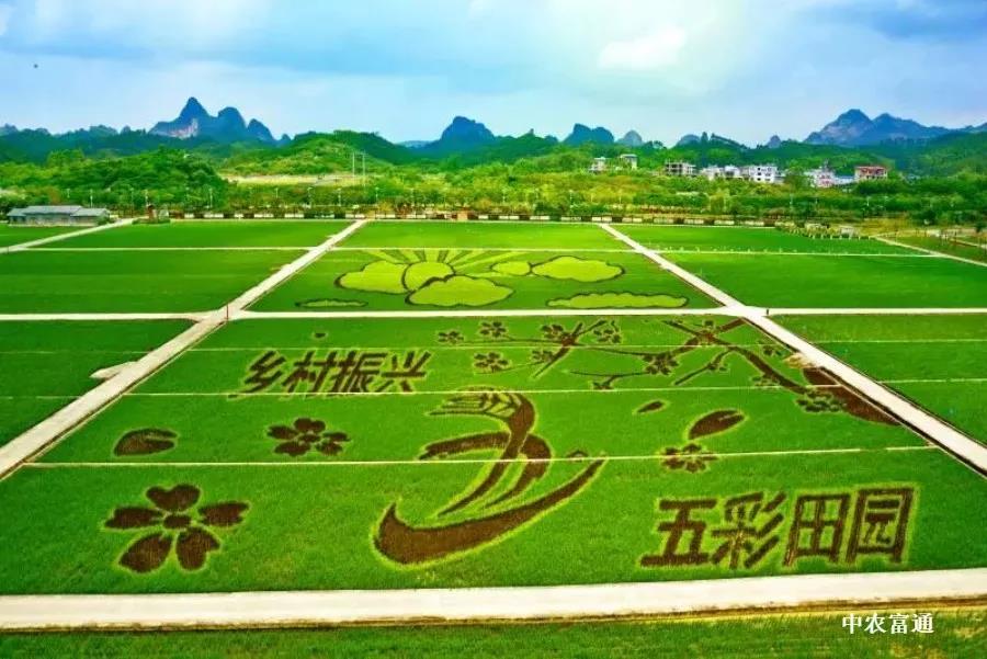 undefined 微信圖片_20181207144213.jpg