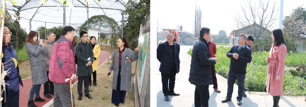 《旌陽(yáng)區(qū)鄉(xiāng)村振興戰(zhàn)略發(fā)展總體規(guī)劃（2018-2022年）》項(xiàng)目 初期調(diào)研工作順利完成(圖2)