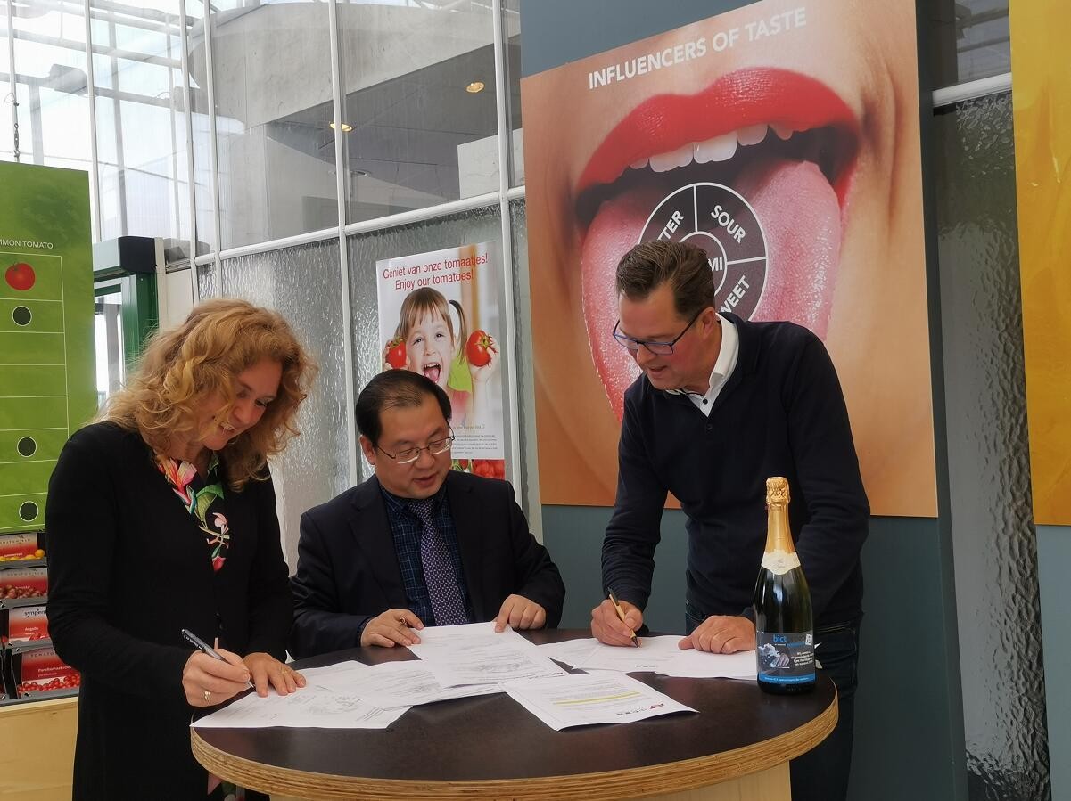 【邀請(qǐng)函】未來已來 中荷都市供給和綠色發(fā)展趨勢(shì)探秘(圖12)