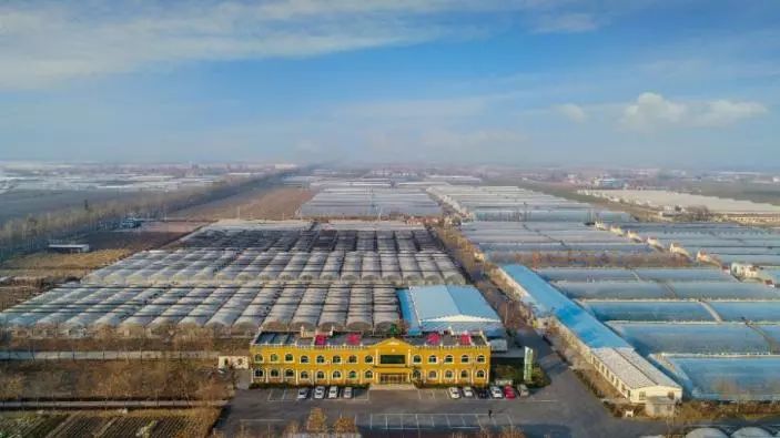 第九屆縣域會||2019鄉(xiāng)村振興優(yōu)秀案例圖文展成功舉辦（附優(yōu)秀案例）(圖13)