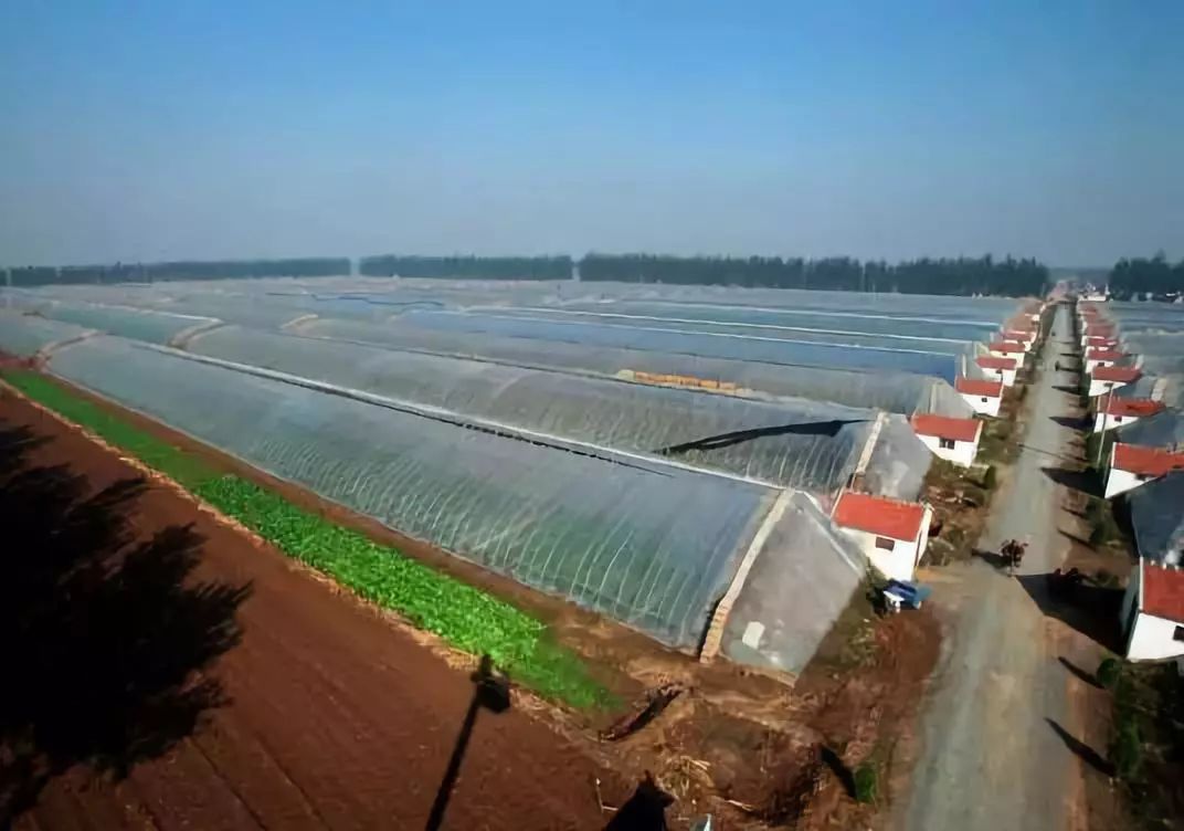 第九屆縣域會||2019鄉(xiāng)村振興優(yōu)秀案例圖文展成功舉辦（附優(yōu)秀案例）(圖14)