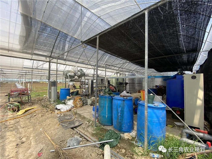 為了幫助園區(qū)的提檔升級(jí)，南京市農(nóng)業(yè)農(nóng)村局特委托中農(nóng)富通編制《南京市農(nóng)業(yè)園區(qū)發(fā)展研究報(bào)告》，以期從產(chǎn)業(yè)發(fā)展路徑、園區(qū)發(fā)展模式、保障措施等多維度為南京市農(nóng)業(yè)園區(qū)未來三年的發(fā)展做統(tǒng)籌謀劃。 8月19日，中農(nóng)(圖5)