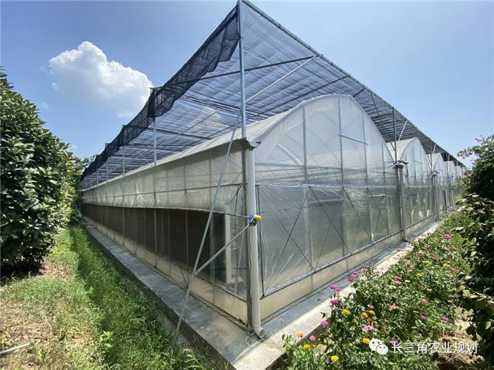 為了幫助園區(qū)的提檔升級(jí)，南京市農(nóng)業(yè)農(nóng)村局特委托中農(nóng)富通編制《南京市農(nóng)業(yè)園區(qū)發(fā)展研究報(bào)告》，以期從產(chǎn)業(yè)發(fā)展路徑、園區(qū)發(fā)展模式、保障措施等多維度為南京市農(nóng)業(yè)園區(qū)未來三年的發(fā)展做統(tǒng)籌謀劃。 8月19日，中農(nóng)(圖6)