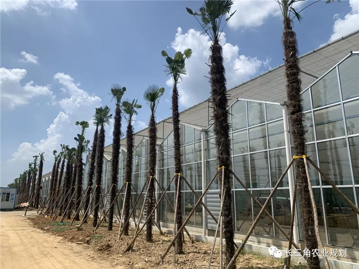 為了幫助園區(qū)的提檔升級(jí)，南京市農(nóng)業(yè)農(nóng)村局特委托中農(nóng)富通編制《南京市農(nóng)業(yè)園區(qū)發(fā)展研究報(bào)告》，以期從產(chǎn)業(yè)發(fā)展路徑、園區(qū)發(fā)展模式、保障措施等多維度為南京市農(nóng)業(yè)園區(qū)未來三年的發(fā)展做統(tǒng)籌謀劃。 8月19日，中農(nóng)(圖10)