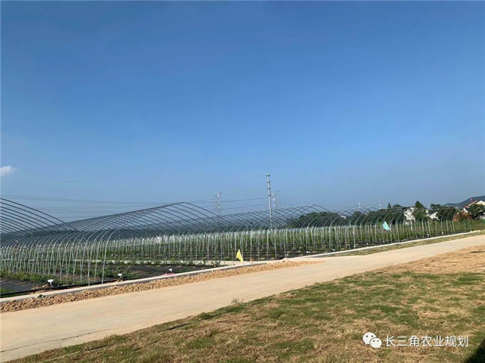 為了幫助園區(qū)的提檔升級(jí)，南京市農(nóng)業(yè)農(nóng)村局特委托中農(nóng)富通編制《南京市農(nóng)業(yè)園區(qū)發(fā)展研究報(bào)告》，以期從產(chǎn)業(yè)發(fā)展路徑、園區(qū)發(fā)展模式、保障措施等多維度為南京市農(nóng)業(yè)園區(qū)未來三年的發(fā)展做統(tǒng)籌謀劃。 8月19日，中農(nóng)(圖21)