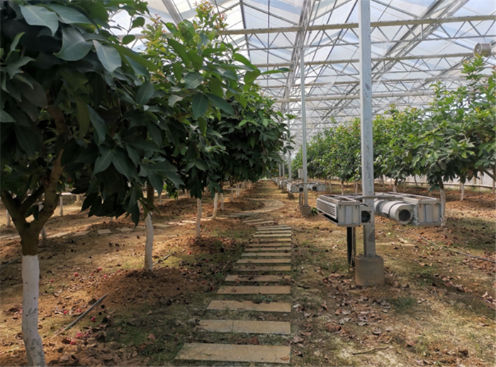 9月3日，中農富通調研組兵分兩路對南京高淳區武家嘴現代農業產業示范園區和棲霞區龍潭現代農業產業示范園區的調研工作。(圖5)