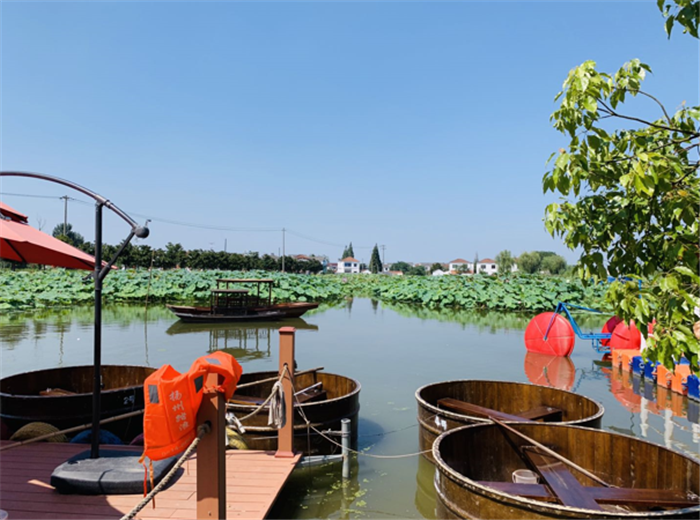 9月3日，中農富通調研組兵分兩路對南京高淳區武家嘴現代農業產業示范園區和棲霞區龍潭現代農業產業示范園區的調研工作。(圖24)