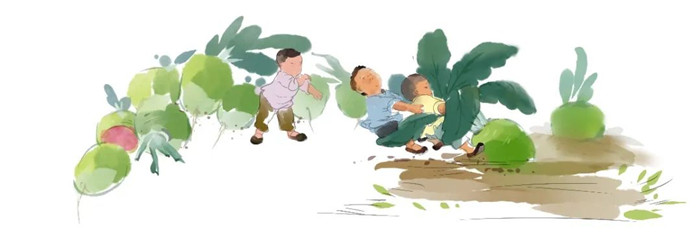 《蔬之集萃》(圖3)