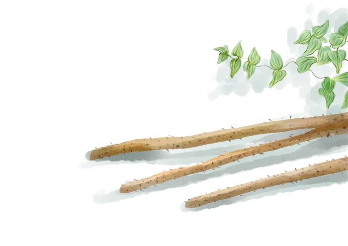 《蔬之集萃》(圖5)