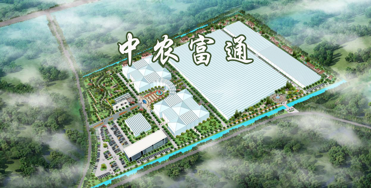 太原市晉源區(qū)振華園藝現(xiàn)代花卉示范基地(圖1)