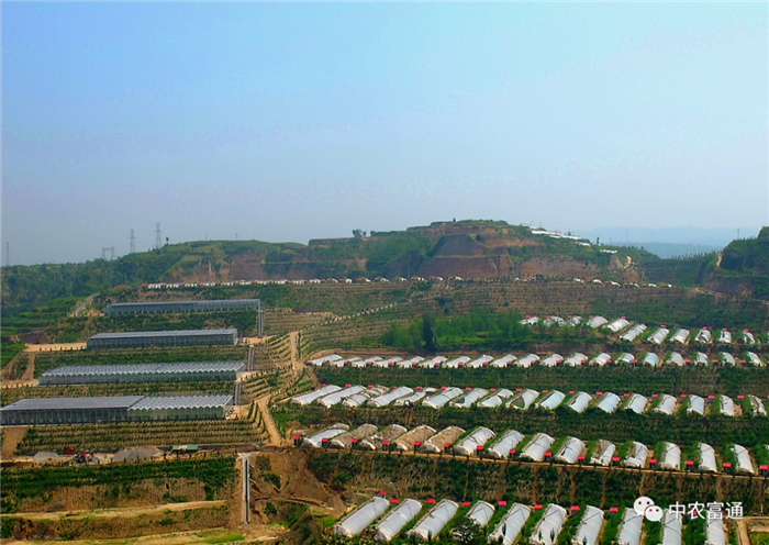 重磅！歷史性的一刻！我國832個(gè)國家級貧困縣全部脫貧摘帽(圖4)