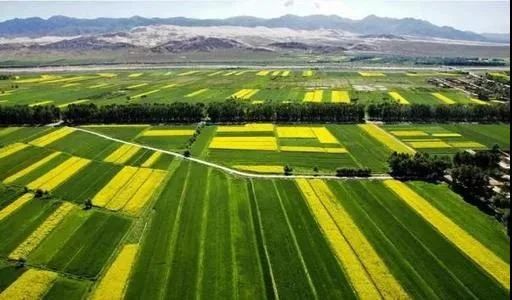 最高獎(jiǎng)補(bǔ)8000萬(wàn)！建設(shè)一批鄉(xiāng)村振興集成創(chuàng)新示范縣(圖6)