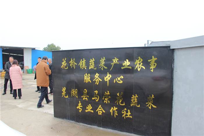 《灣沚區(qū)花橋鎮(zhèn)十四五現(xiàn)代農(nóng)業(yè)發(fā)展規(guī)劃》初期調(diào)研工作順利完成！(圖6)