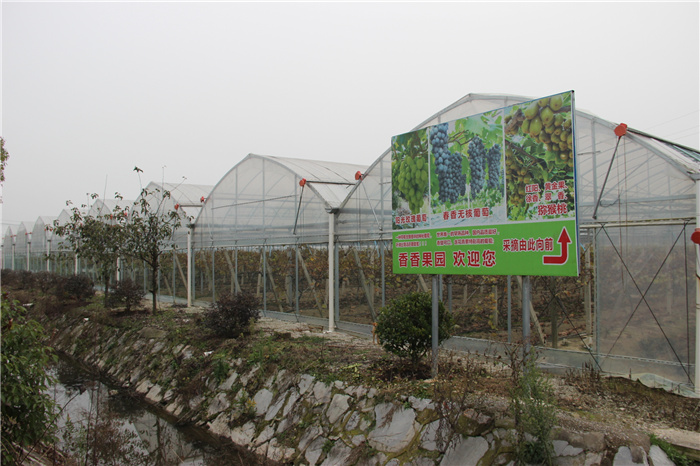 《灣沚區(qū)花橋鎮(zhèn)十四五現(xiàn)代農(nóng)業(yè)發(fā)展規(guī)劃》初期調(diào)研工作順利完成！(圖14)